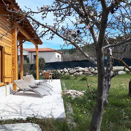 Вилла Chalet Mont Canigo Corneilla-de-Conflent Экстерьер фото