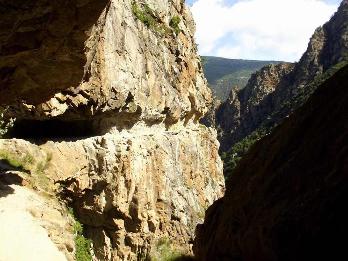 Вилла Chalet Mont Canigo Corneilla-de-Conflent Экстерьер фото